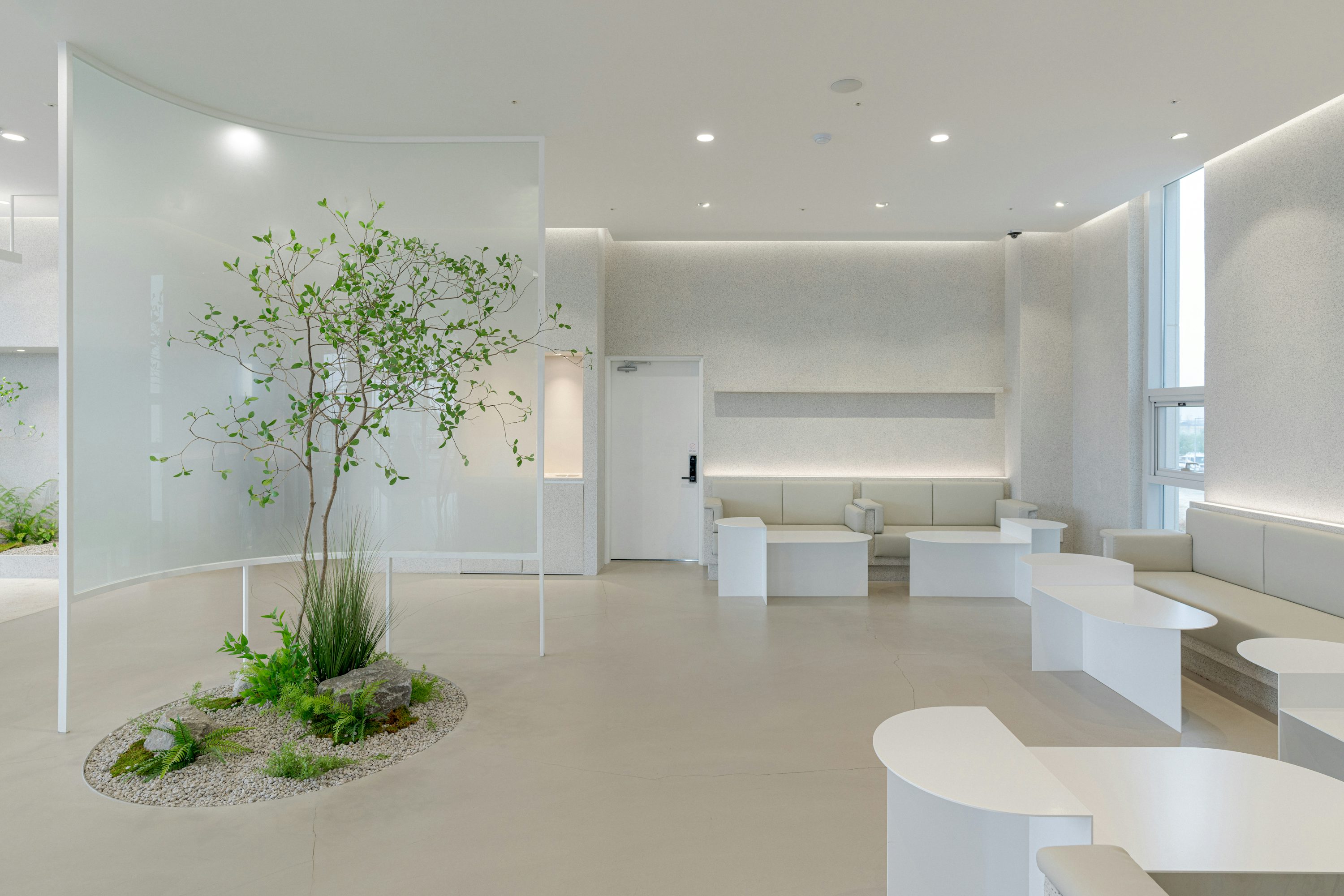 A calm modern clinic reception and waiting area